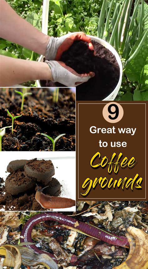 Great Way To Use Coffee Grounds How To Use Coffee Ground In The