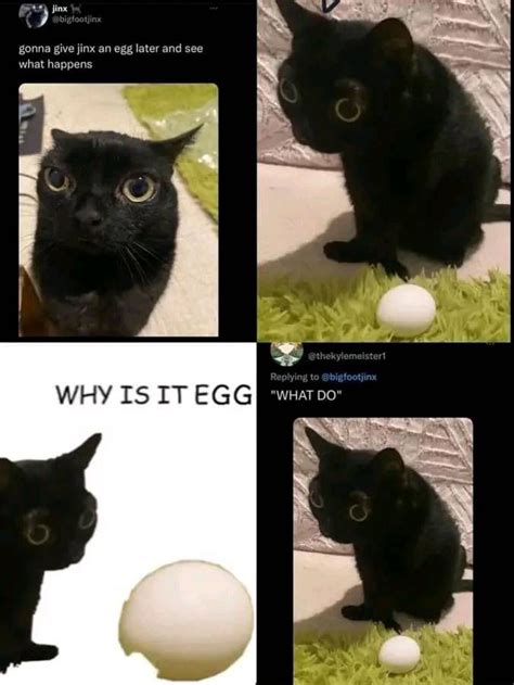 Four Different Pictures Of A Black Cat With An Egg In It S Mouth And