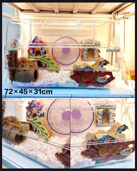 See Through Acrylic Hamster Cage The Perfect Home For Your 42 OFF