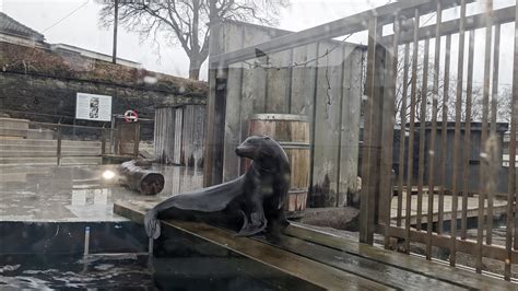 AKvariet I Bergen AQUARIUM YouTube