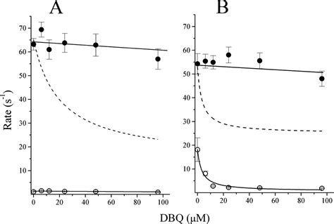 Asymmetric And Redox Specific Binding Of Quinone And Quinol At Center N