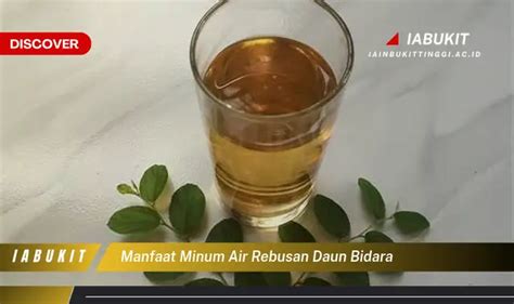 Kamu Wajib Tau Inilah 7 Manfaat Minum Air Rebusan Daun Bidara Yang