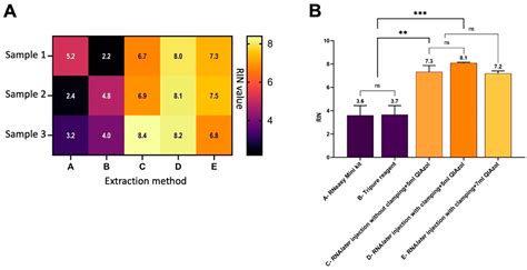 Comparing And Optimizing Rna Extraction From The Pancreas Of Diabetic