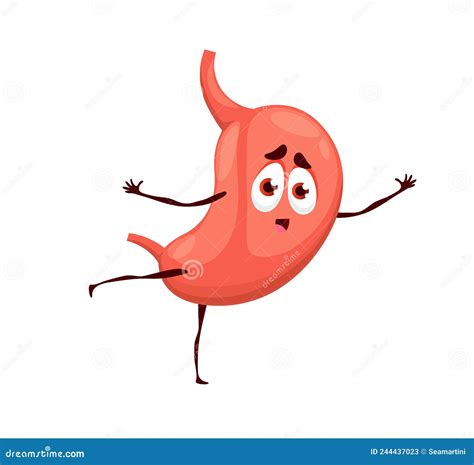 Human Funny Cartoon Stomach Character Stock Vector Illustration Of