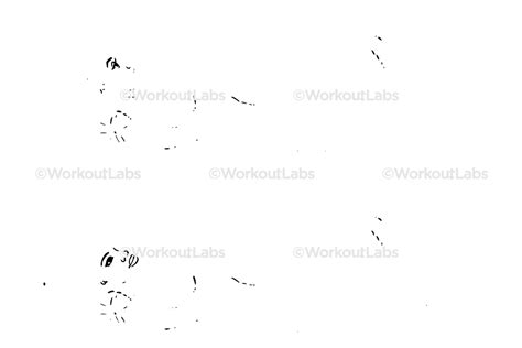 Foam Roller Neck Release – WorkoutLabs Exercise Guide