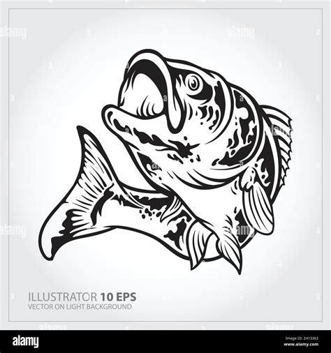 Bass Vector Hi Res Stock Photography And Images Alamy