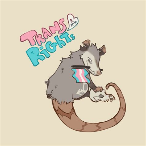 Trans Rights Opossum Transgender Mug Teepublic