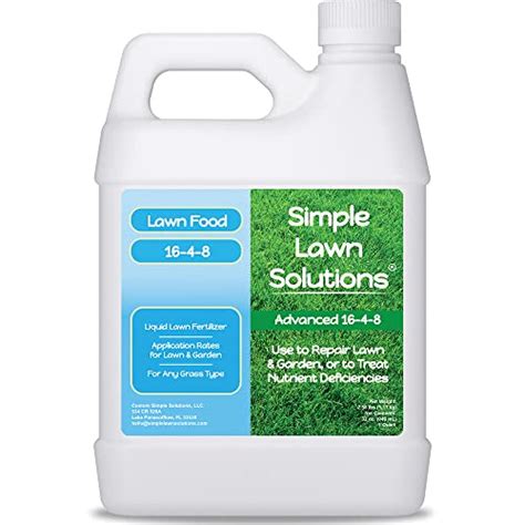 lawn fertilizer top  choices   grass