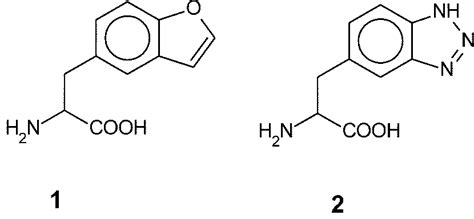 Chemical Structure Of The Photoreactive Amino Acid Analogues Used In