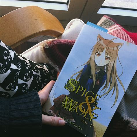 Review Spice And Wolf Light Novel Vol 1 Dragons And Paperbacks
