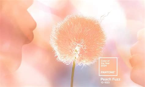 Meet Peach Fuzz 13 1023 The Pantone Color Of The Year 2024 Me Printer