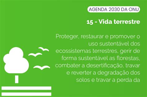 Vida Terrestre é o foco do objetivo 15 da Agenda 2030 Fundação Mudes