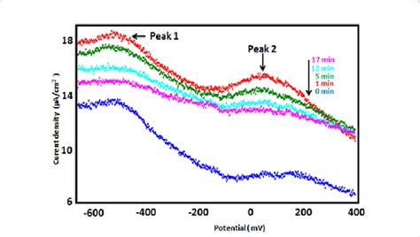 Square Wave Voltammograms Recorded For CPE BIT With 0 9 MM Pf Pb 2