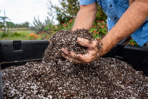 6 Organic Soil Amendments To Enhance Your Garden