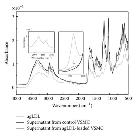 Ftiratr Spectra Of Agldl And Purified Supernatants Download