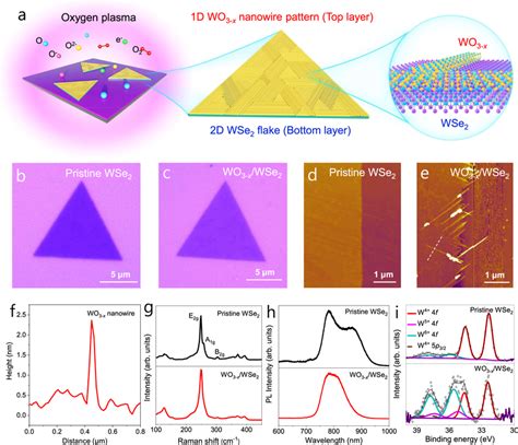 Formation And Morphology Of 1d 2d Wo3 X Wse2 Heterostructures A Download Scientific Diagram