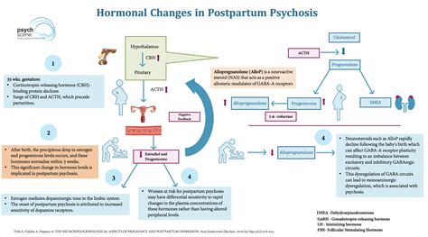 Postpartum Psychosis A Comprehensive Review