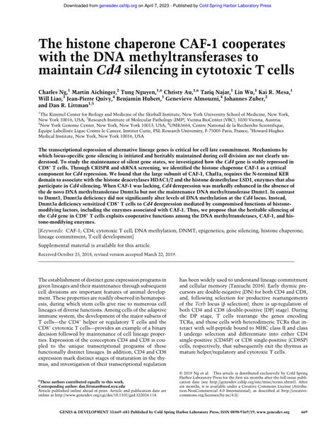 PDF The Histone Chaperone CAF 1 Cooperates With The DNA