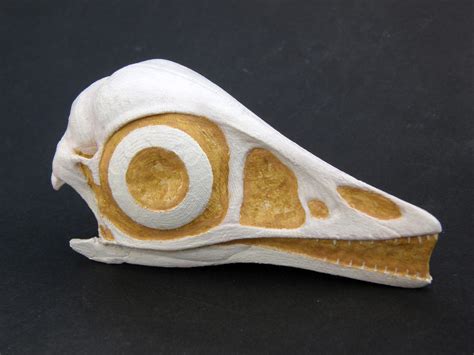 Fun with 3D Printing Fossils - Paleo Re-creations - The Fossil Forum