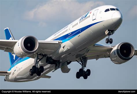 Ja A All Nippon Airways Boeing By Nicolas Williams