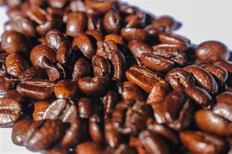 French Roast Coffee Beans A Closeup Of Dark Glossy French Roast