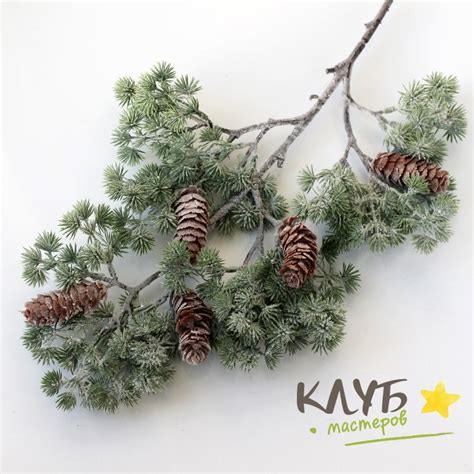 Зелень для мыльных букетов "Ветка кедра с шишками с патиной" купить в ...