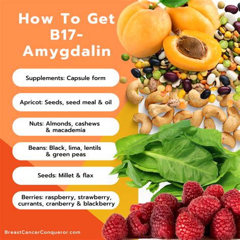 Apricot Seeds Amygdalin Vitamin B17 Breast Cancer Conqueror