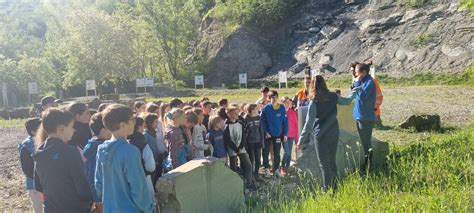 Ogled Opu Enega Kamnoloma Lastivnica O Tolmin