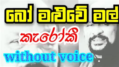 Bo Maluwe Mal Without Voice Karaoke බ මලව මල කරක Bo maluwe