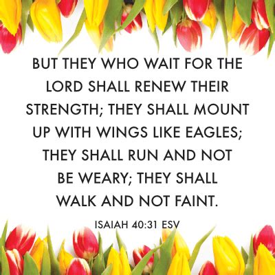 Isaiah 40 31 Meaning Of They That Wait Upon The Lord Shall Renew Their