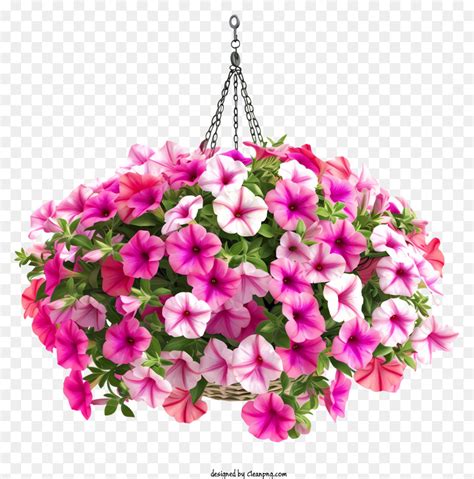 Petunia Flower Elegant Flower Hanging Basket D