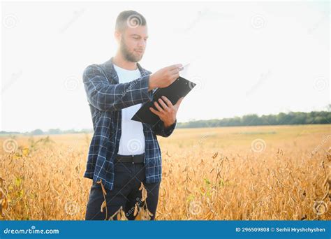 Armer Inspects Soybeans Before Harvesting The Concept Of Agricultural