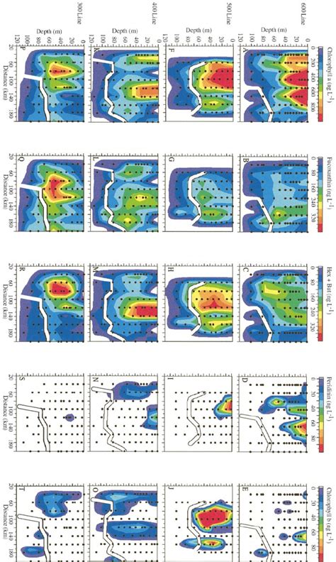 Vertical Sections Of Nitrate Silicate And Phosphate Distribution On