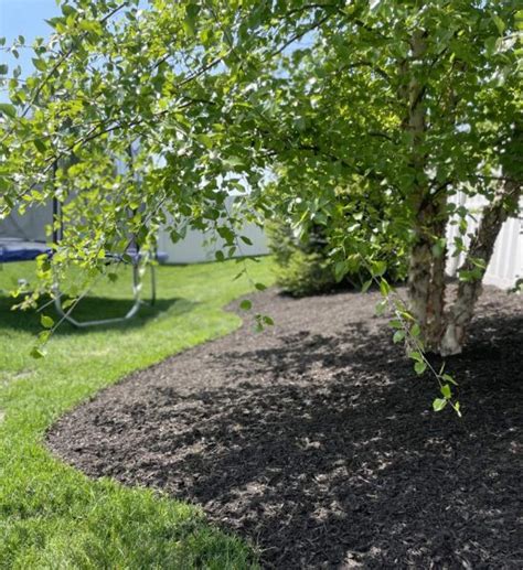 Mulch Installation Pinnacle Landscape Management