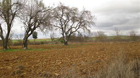 Landscapes Of The Camino De Santiago French Way Spain Landscapes Of The ...