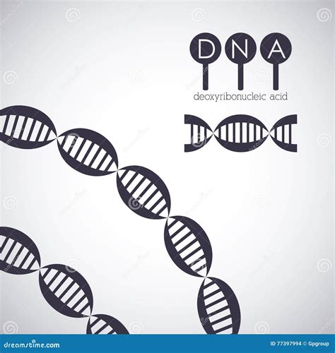 Dna Structure Chromosome Design Stock Vector Illustration Of