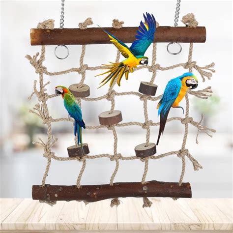 Mxzzand Chelle De Perroquet Cage Oiseaux Et Perroquets Pi Ce