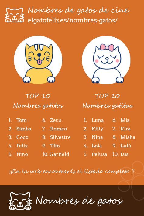 Nombres De Gatos Nombres Para Gatas Nombres Para Mascotas Nombres