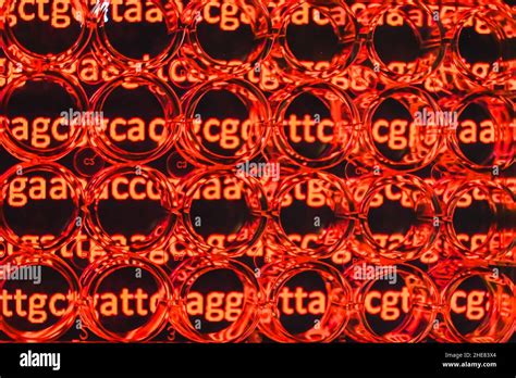 Abstract Background Genome Research A Look Through A 24 Well Plate