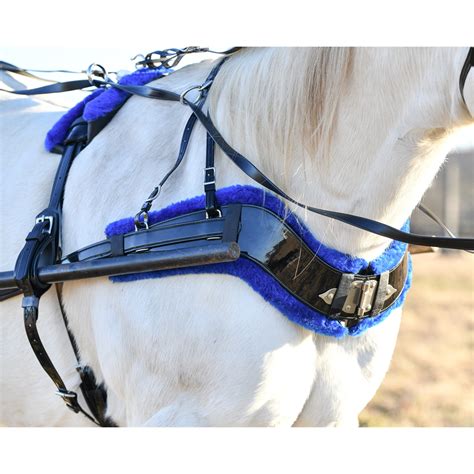 Two Horse Tack’s Light Marathon Harness Made From Beta Biothane