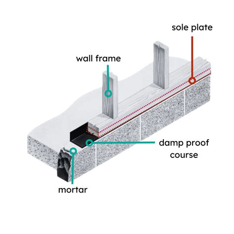 What Is A Sole Plate Timber Development Uk