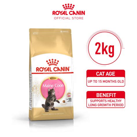 Royal Canin Maine Coon Kitten Kg Dry Cat Food Makanan Anak Kucing