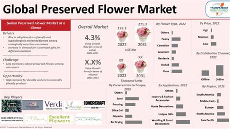 Preserved Flower Market Size And Growth Forecast 2023 2031