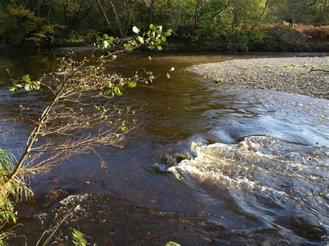 River Plym Derek Harper Geograph Britain And Ireland