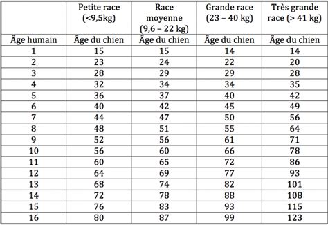 Comment Calculer Le Bee D un Chien Communauté MCMS