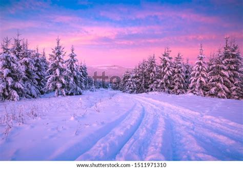 77511 Idyllic Winter Scene Images Stock Photos And Vectors Shutterstock