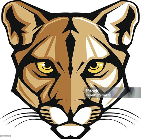 Cougar Panther Mascot Head Vector Graphic向量圖形及更多美洲獅圖片 美洲獅 吉祥物 矢量圖