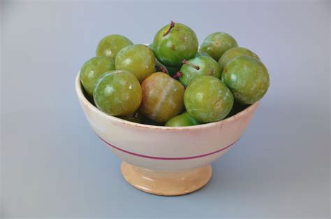 Green Gage Plum Tree - Rare green dessert plum with endless culinary u – Online Orchards