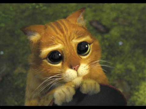 The Pussy Cat Song YouTube