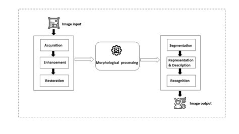 AI And ML Based Image Processing Logic Fruit Technologies